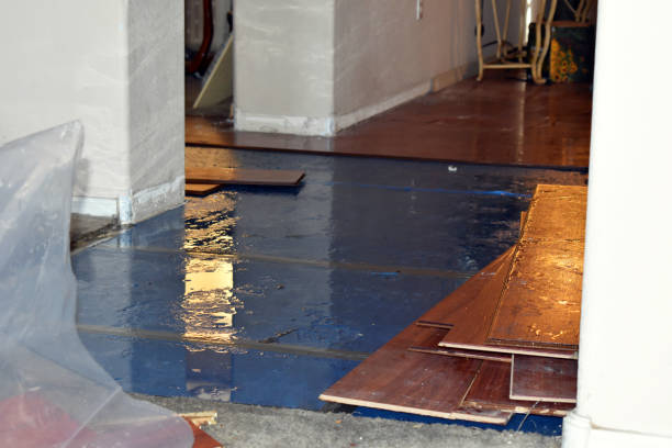 Professional Basement Flood Cleanup technician working in Halifax, PA